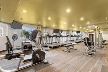 Fitness Center at Townhomes at Preserve, Rogers, 55374